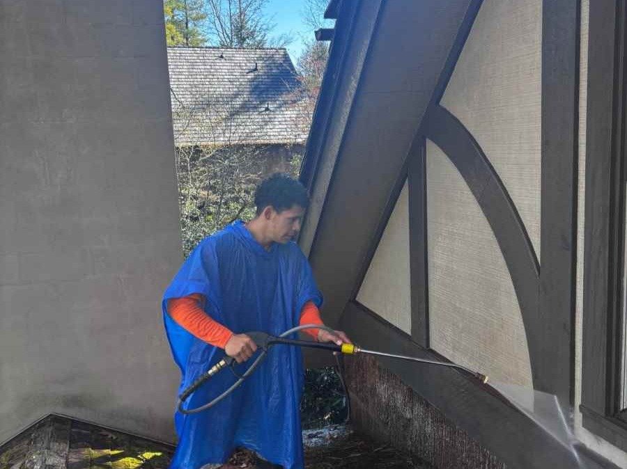 Santos Vidal Painting LLC